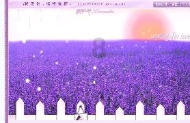 救援聪明的女子